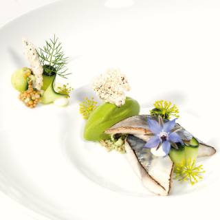 Fisch mit grüner paste auf weißen Teller