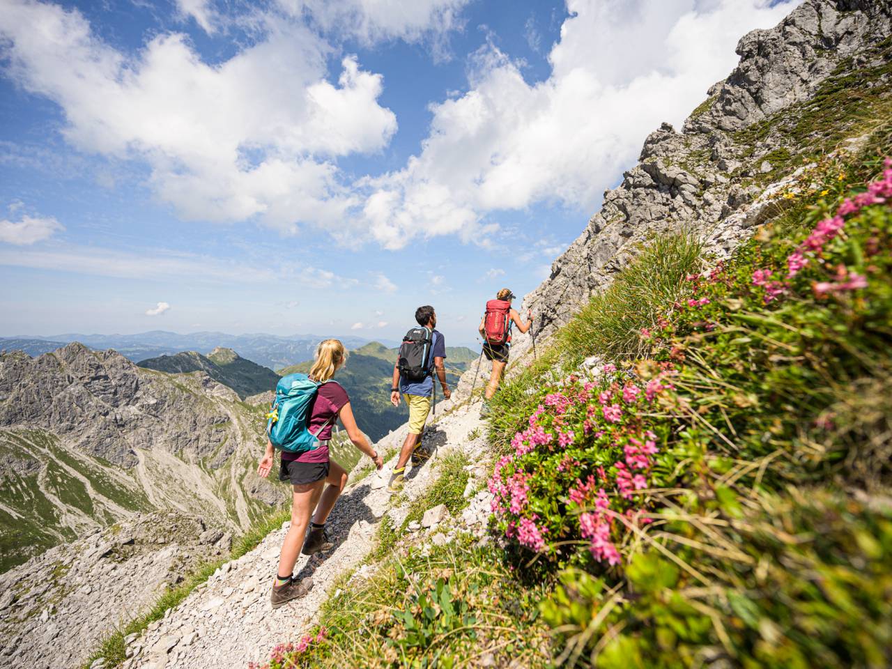 Wandern zwischen Alpenrosen Allgäu