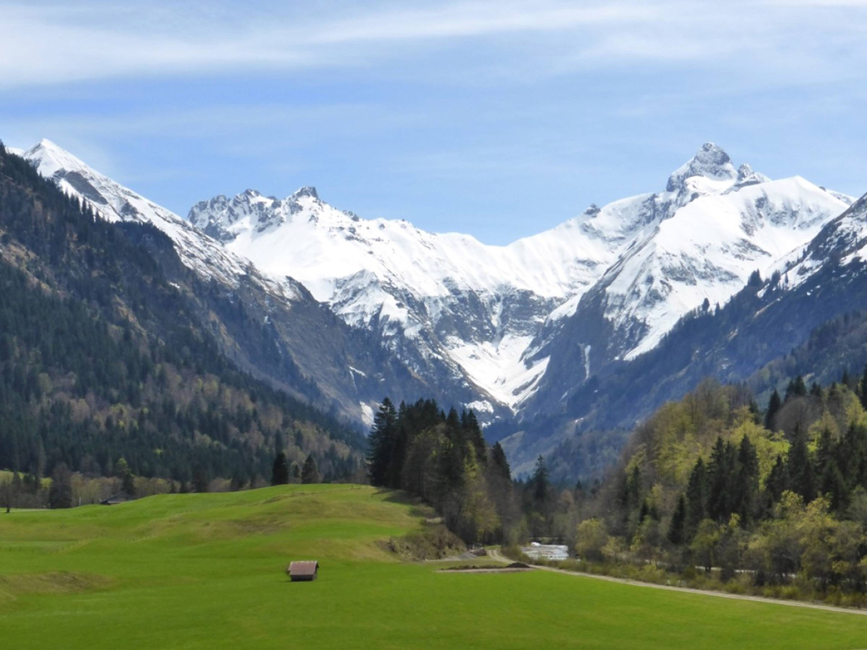 Schneebedeckte Berge mit grüner Wiese
