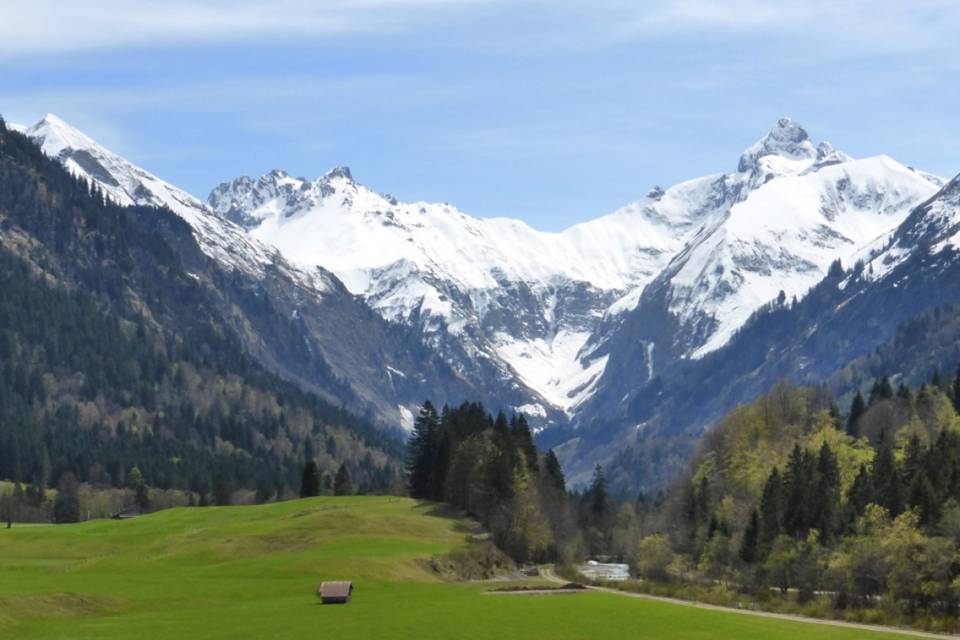 Schneebedeckte Berge mit grüner Wiese