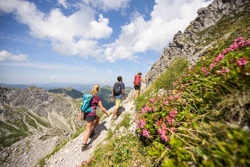 Wandern zwischen Alpenrosen Allgäu