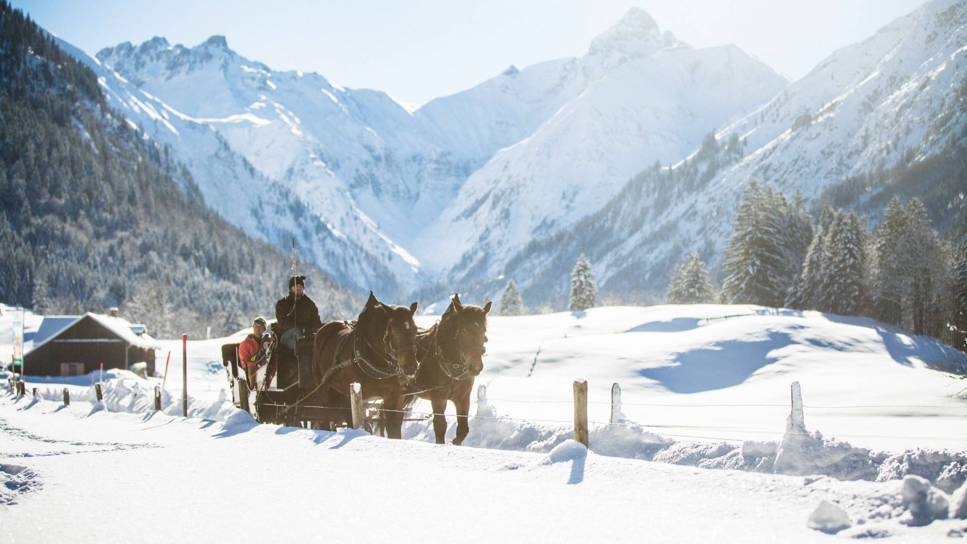 Pferdeschlittenfahrt im Allgäu